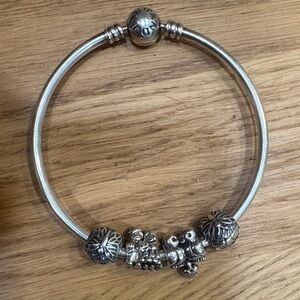 Sterling Silver Pandora Charm Bracelet